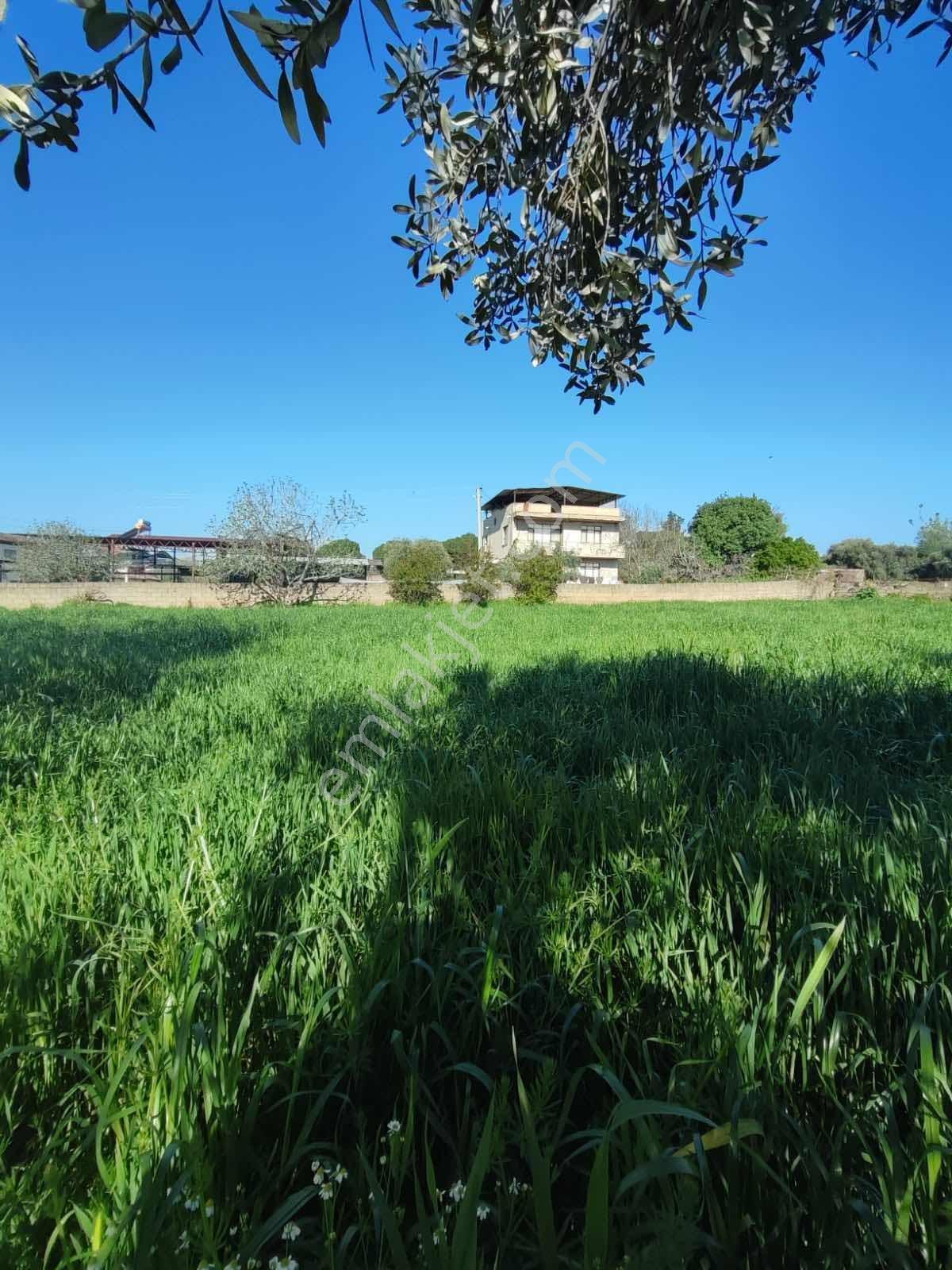 Tire Akar Emlaktan Satılık Villa İmarlı Arsa - Görsel 16