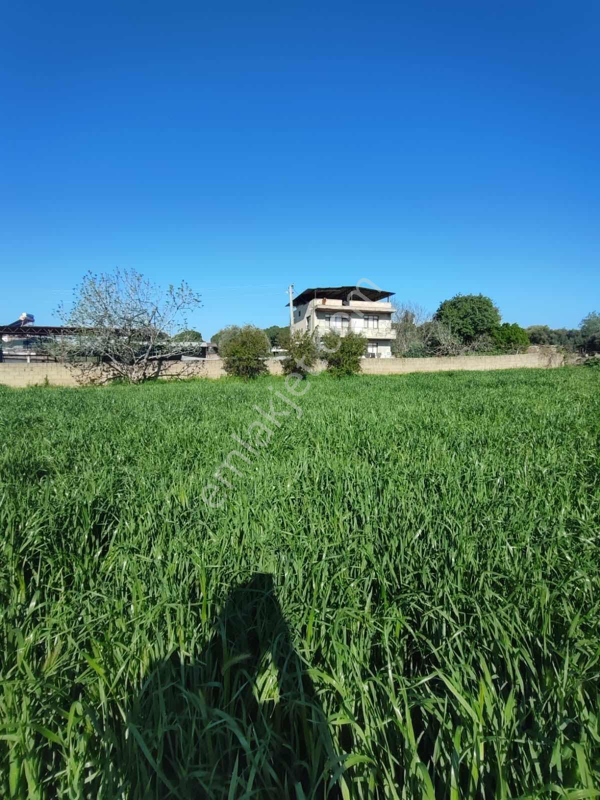 Tire Akar Emlaktan Satılık Villa İmarlı Arsa - Görsel 17