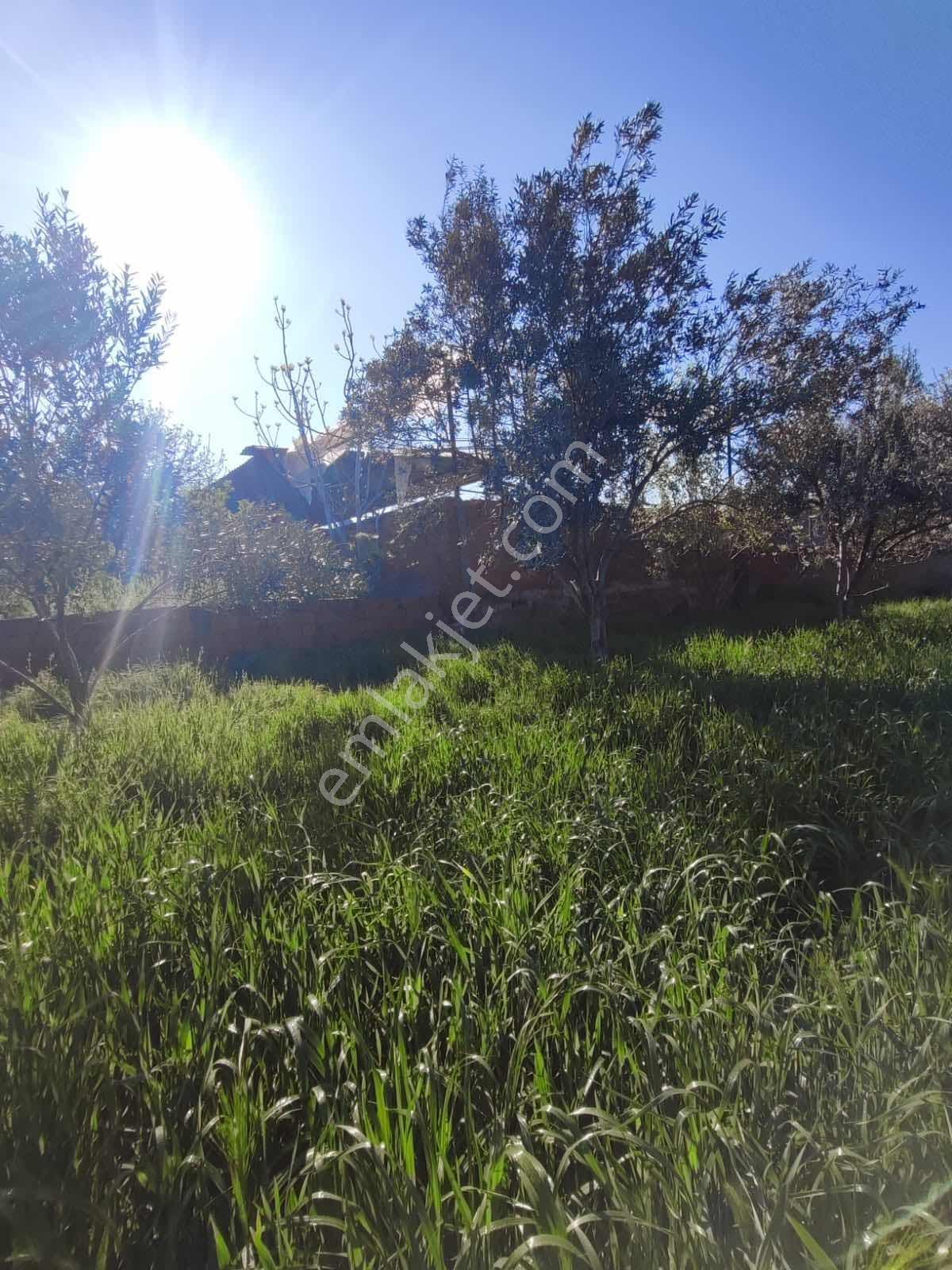 Tire Akar Emlaktan Satılık Villa İmarlı Arsa - Görsel 15