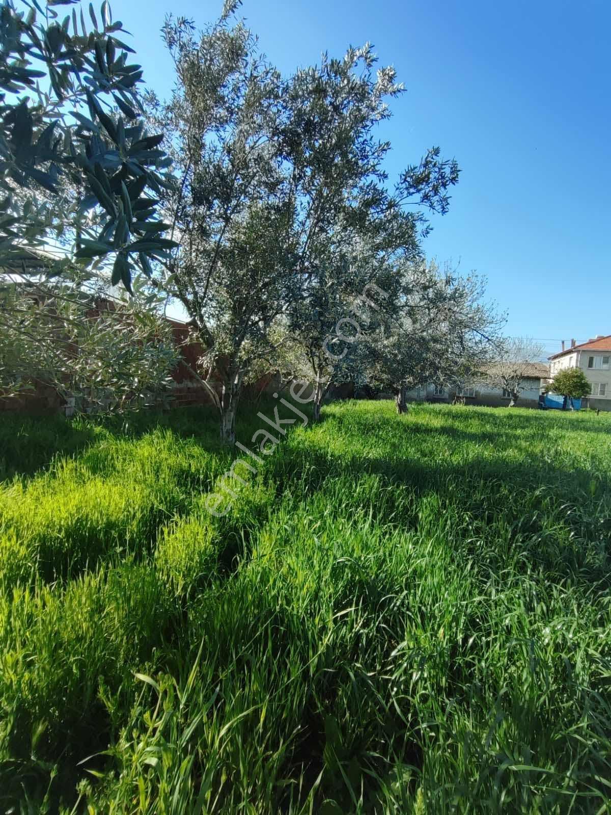 Tire Akar Emlaktan Satılık Villa İmarlı Arsa - Görsel 13
