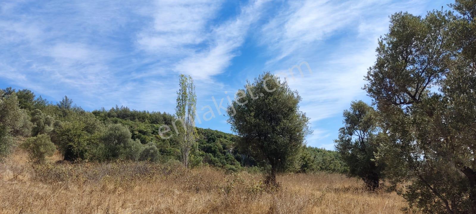 Kuşadası Ege Mah, Full Denız, Imarlı 860m2 Satılık Arsa - Görsel 3