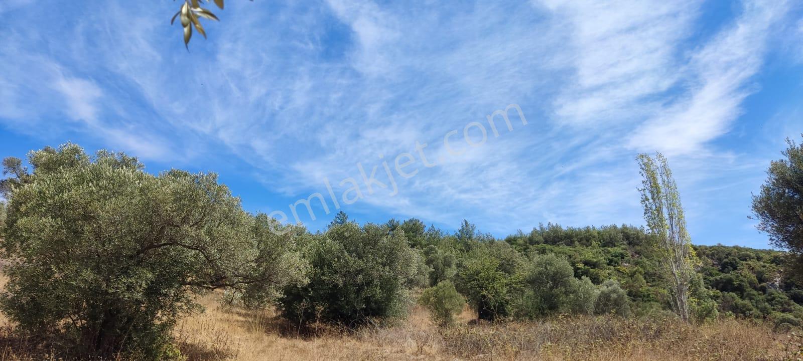Kuşadası Ege Mah, Full Denız, Imarlı 860m2 Satılık Arsa