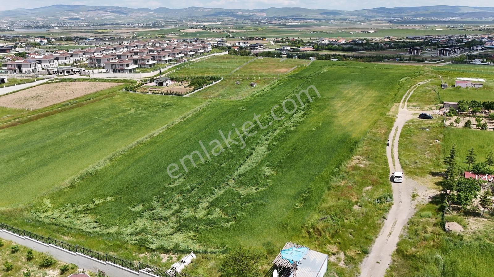 Hacılarda Güzel Konumda 1500m2 0.15 Emsal Arsa Karadeniz Emlakta - Görsel 31