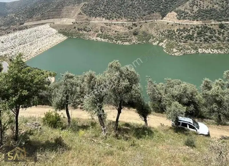 Satılık | İzmir Bayındır Zeytinova | Zeytinlik