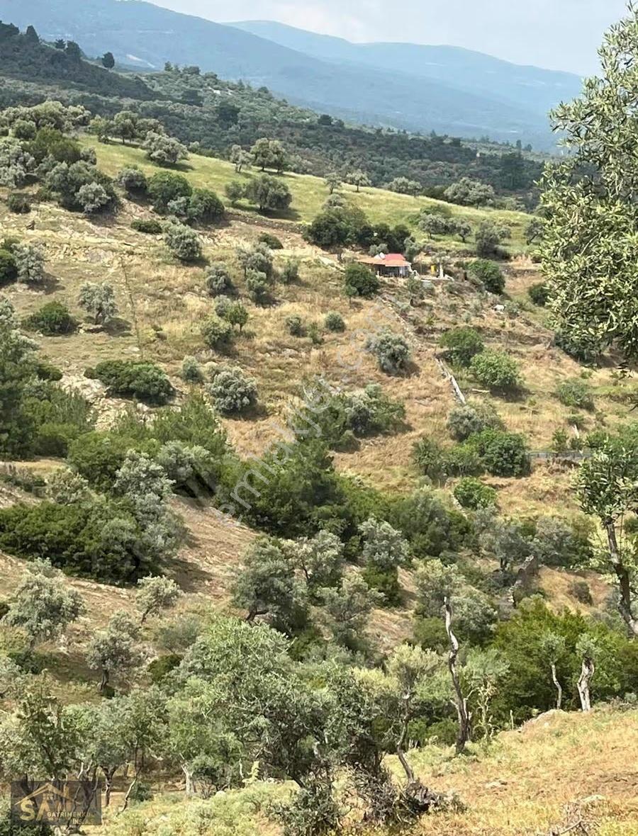 Satılık | Çenikler Köyü | 4.152 M² Arsa - Görsel 2