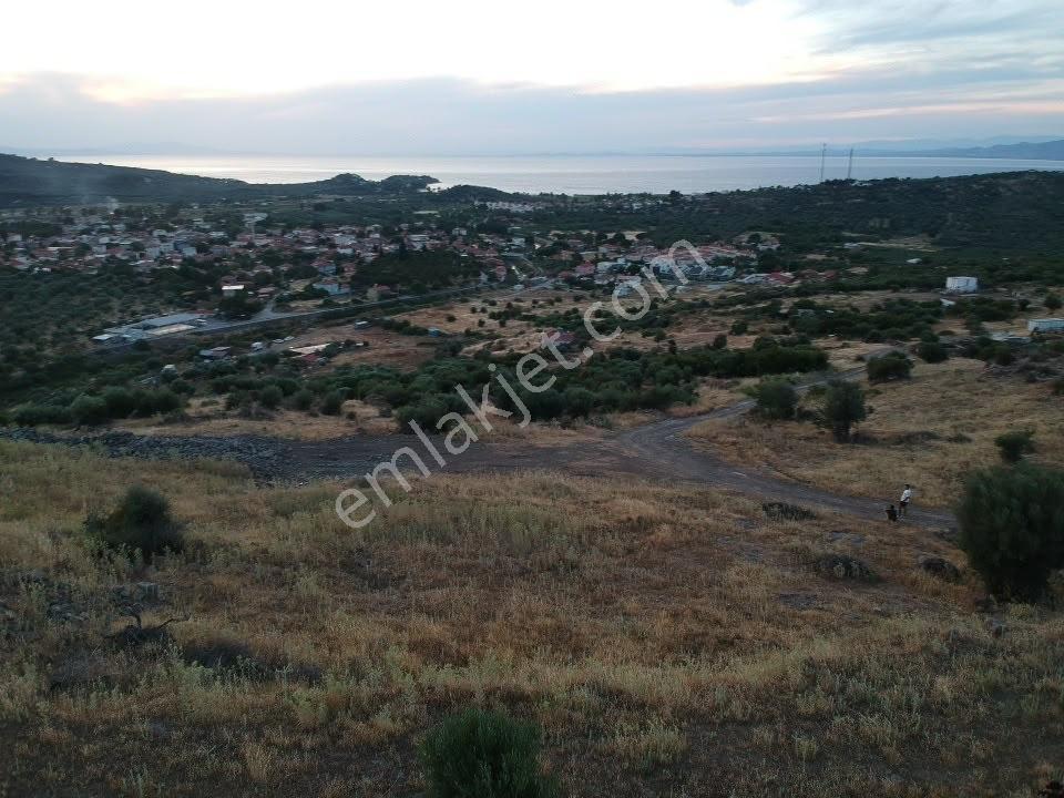 Dikili Bademlinin Özel Noktasında,deniz Ve Koy Manzaralı Arsa