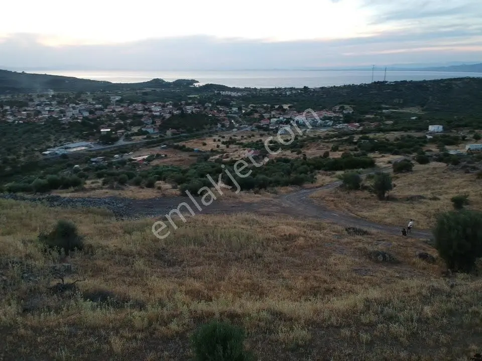 Dikili Bademlinin Özel Noktasında,deniz Ve Koy Manzaralı Arsa - Görsel 4