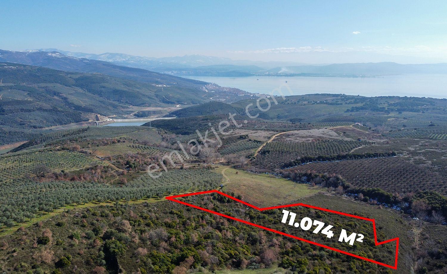 C21cius; Büyükkumla'da Yatırımlık 11,074 M2 Satılık Tarla - Görsel 2