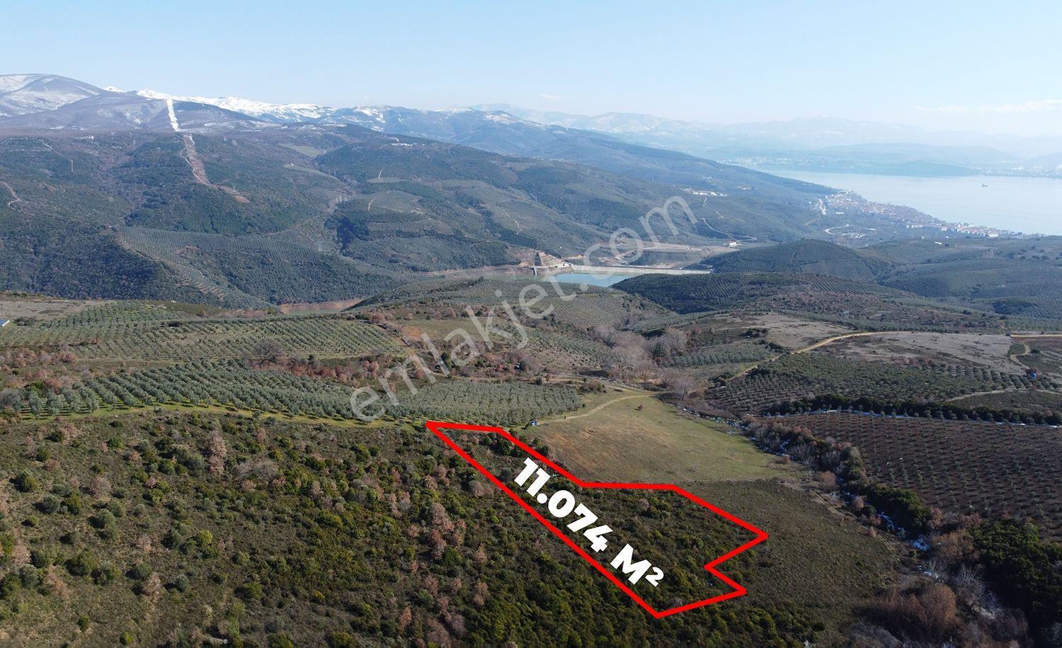 C21cius; Büyükkumla'da Yatırımlık 11,074 M2 Satılık Tarla