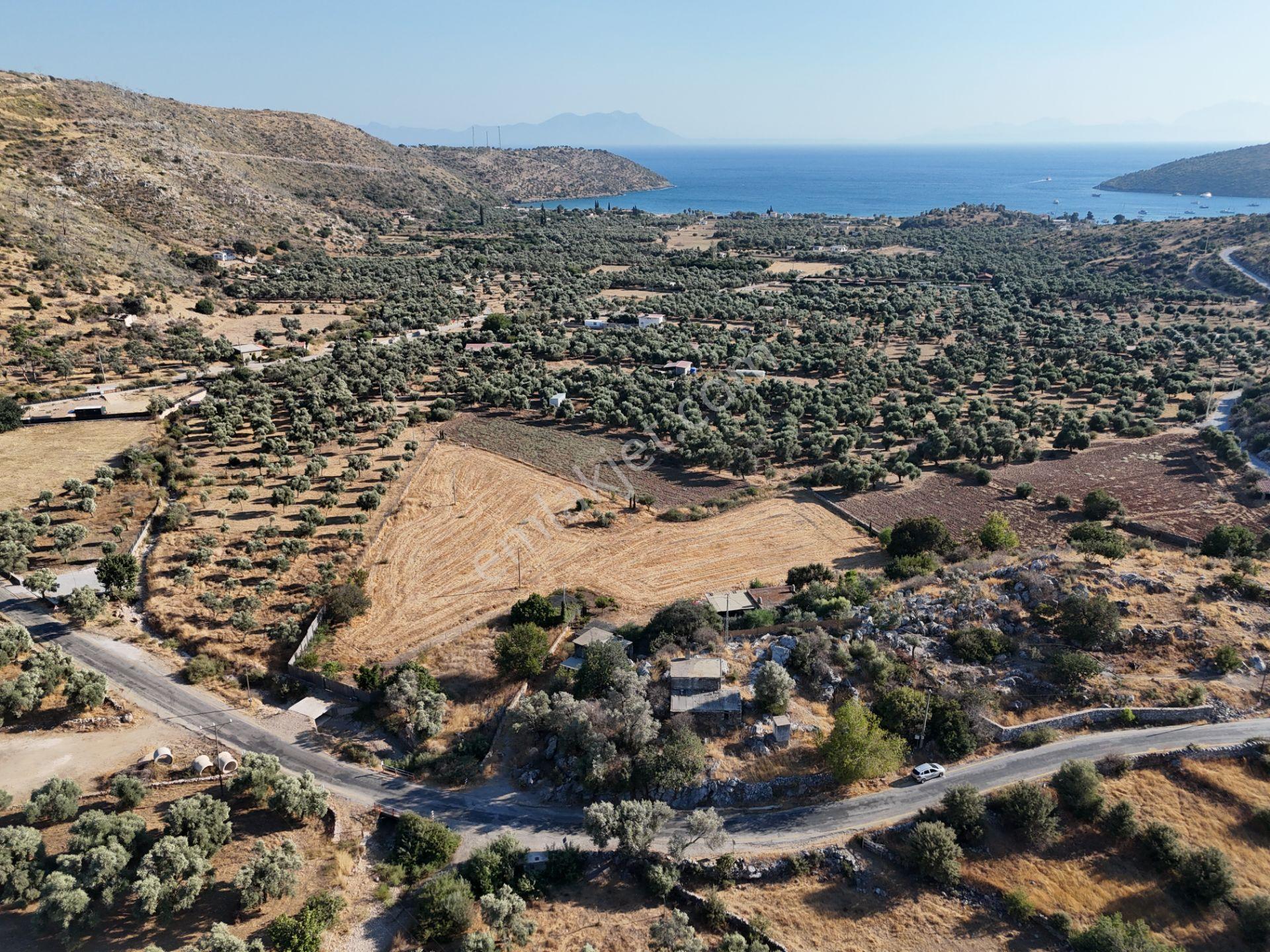 Milas Çökertmede Deniz Manzaralı Tapulu 800m2 Müstakil Ev