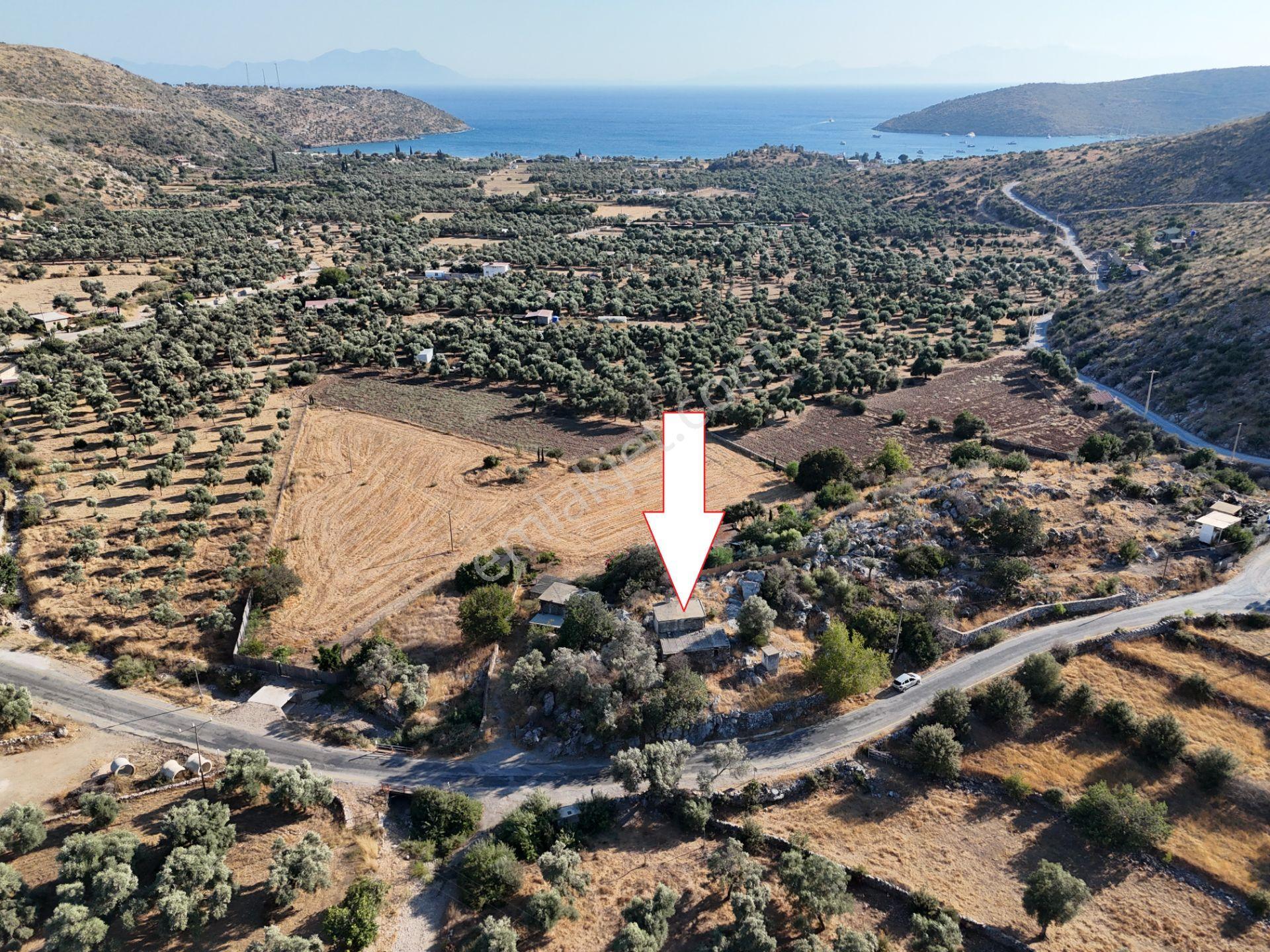 Milas Çökertmede Deniz Manzaralı Tapulu 800m2 Müstakil Ev - Görsel 2