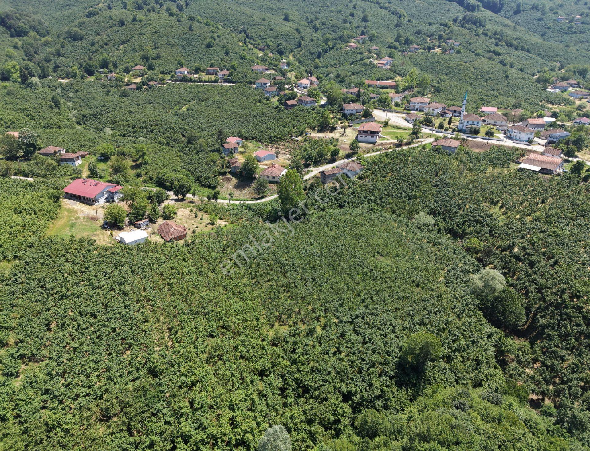 Elite Gd & Gümüşova Yıldıztepede 890 M2 Konut İmarlı Fırsat Arsa - Görsel 10
