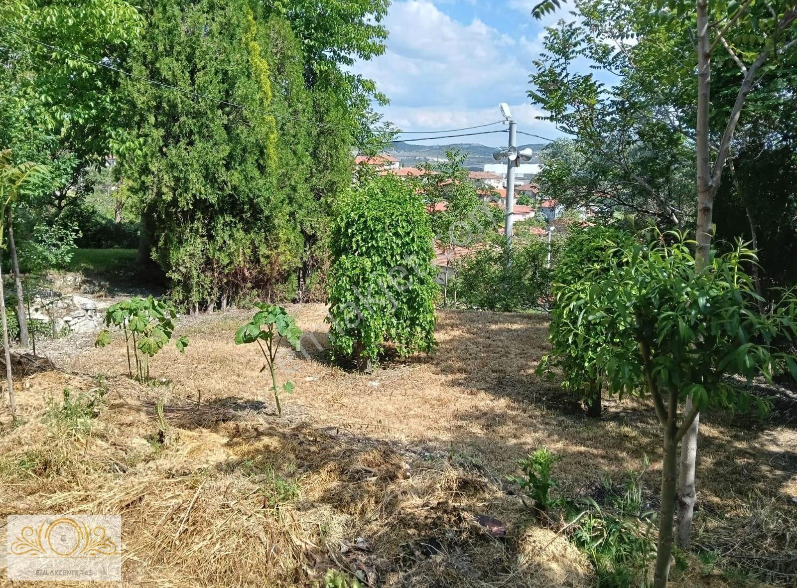 Emlak Centerden Organize Arkası Satılık Çiftlik - Görsel 10