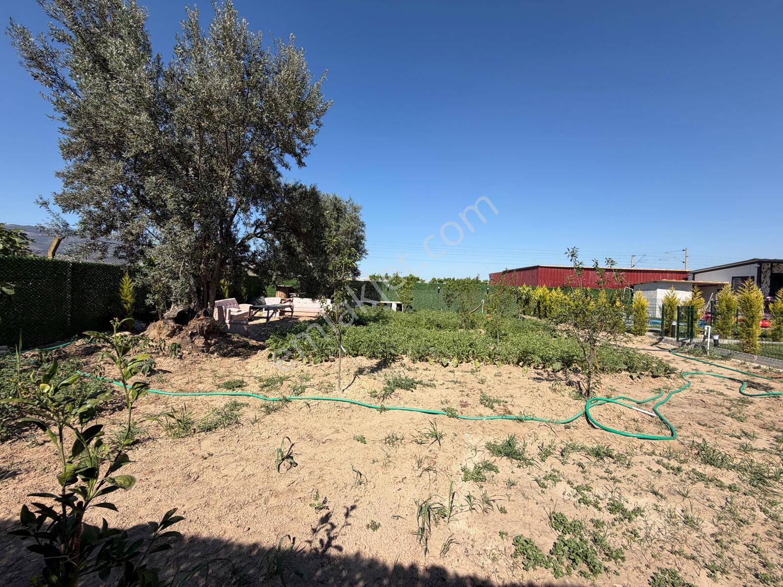 800m2 Tarla İçerisinde 2+1 Havuzlu Müstakil Ev - Görsel 33