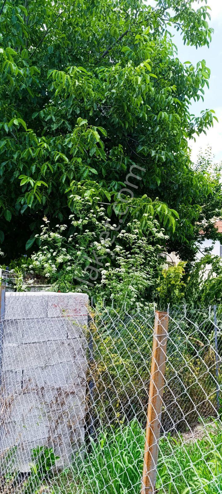 Burdur Bucak Kızılkaya'da İmarlı Satılık Arsa - Görsel 11