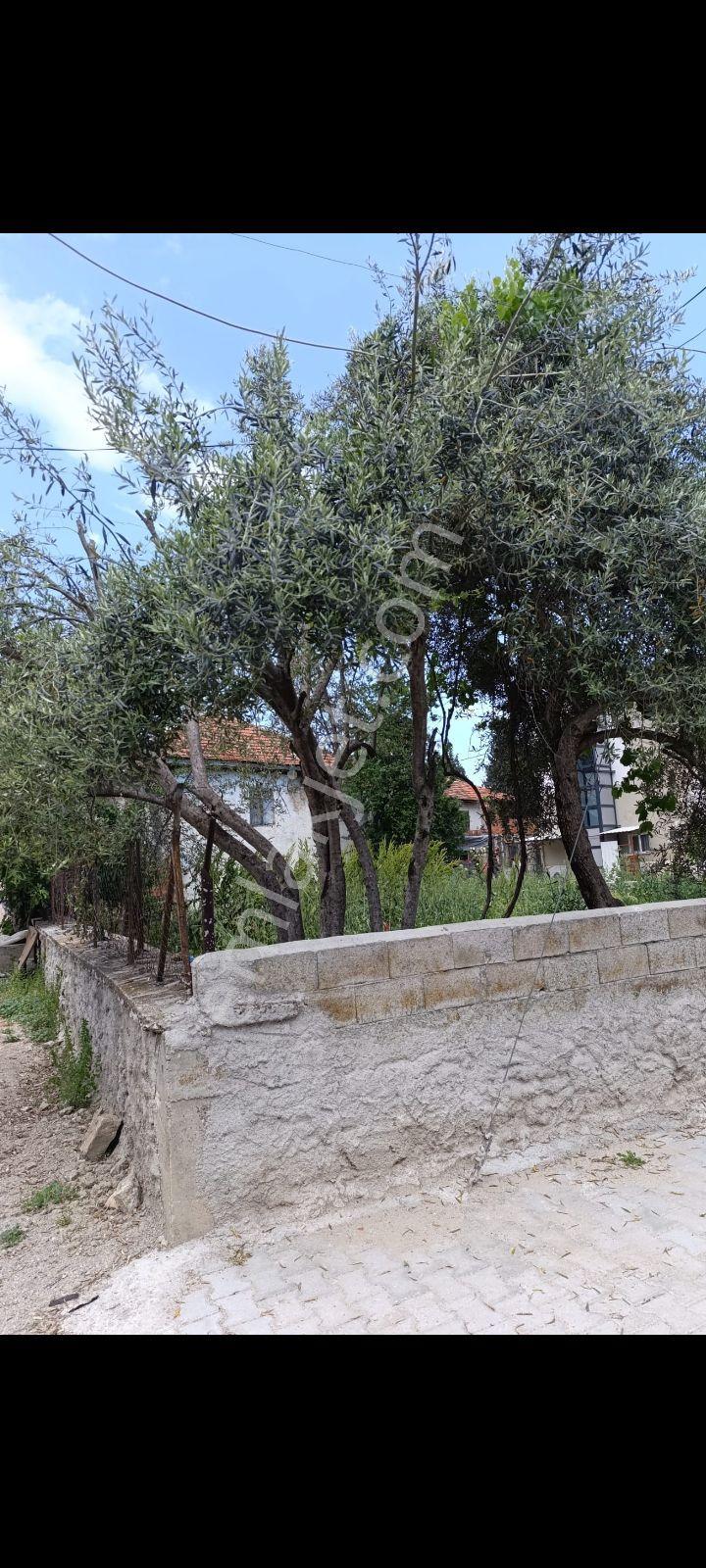 Burdur Bucak Kızılkaya'da İmarlı Satılık Arsa - Görsel 8