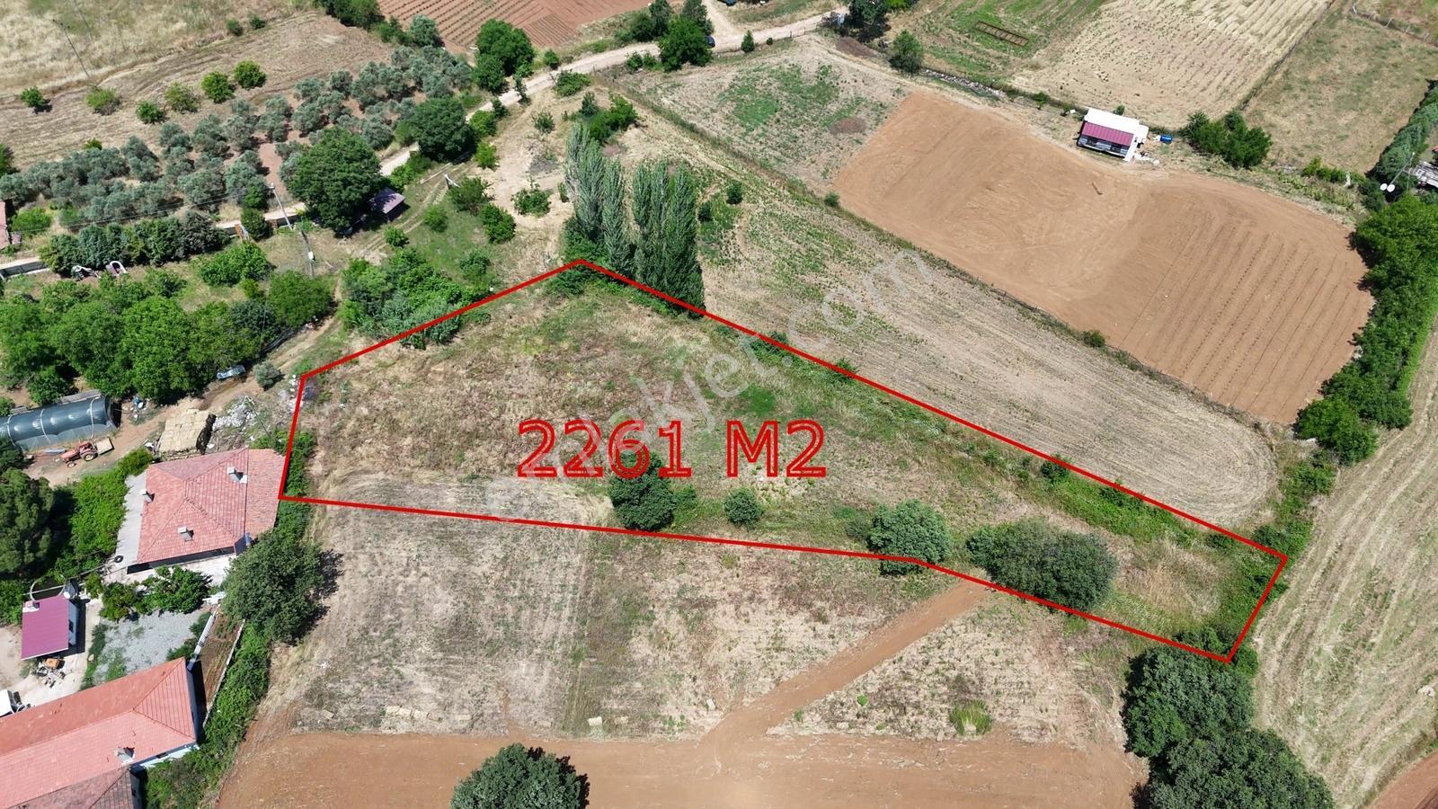 Muğla Menteşe Yenice'de Satılık 2261 M2 Köy İçi Arazi