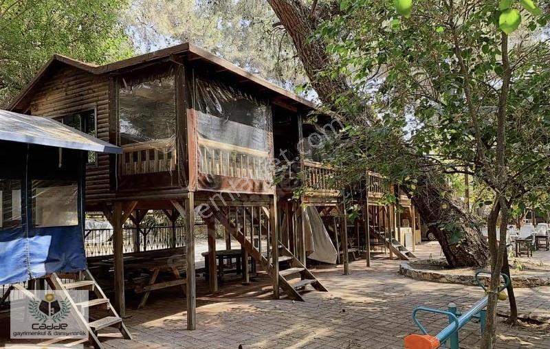 Konyaaltı Çakırlar Doğayla İç İçe Restoran - Görsel 5
