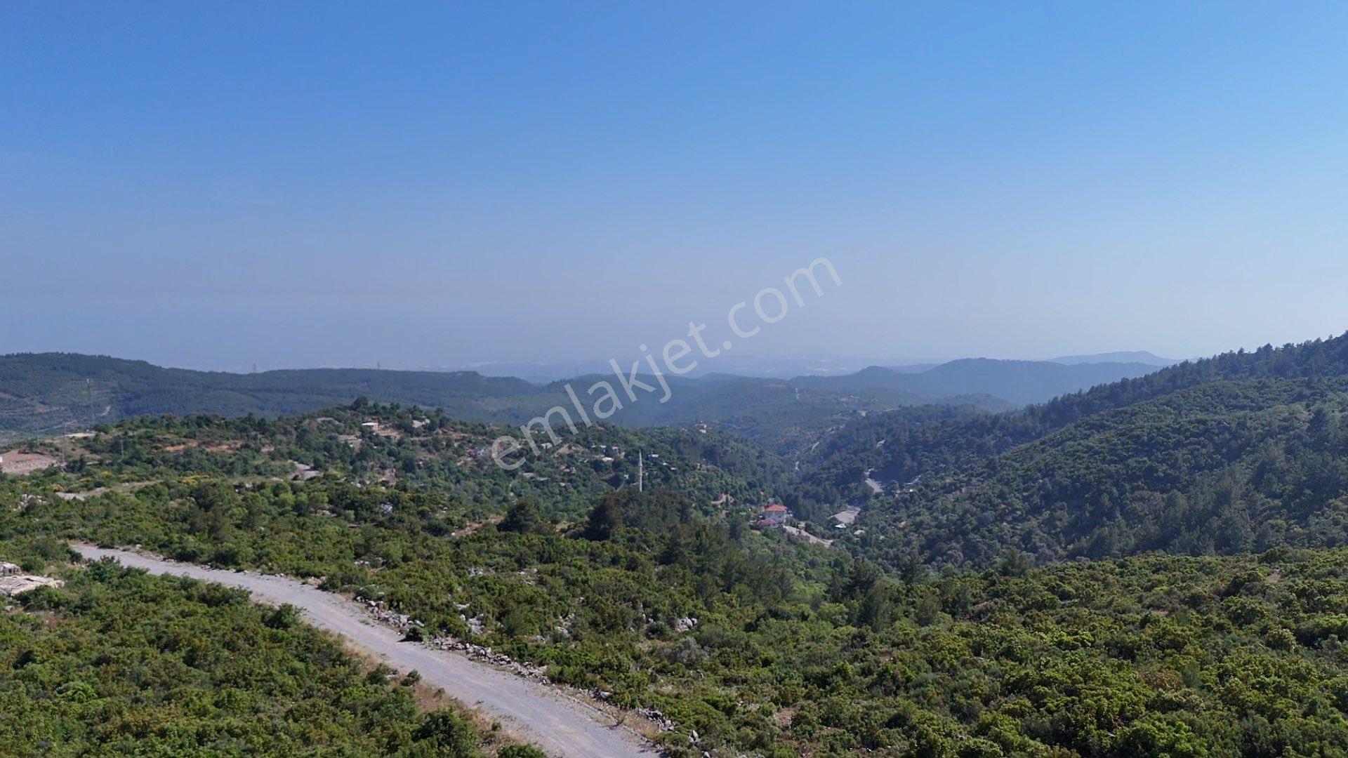 Alanya Orhan Mahallesinde Full Deniz Manzaralı 1.133m2 Taş Ev Ve Arsa - Görsel 8