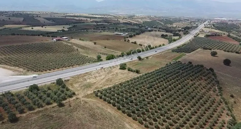 İzmir - Ankara Asfaltına Cepheli Satılık Tarla - Görsel 2