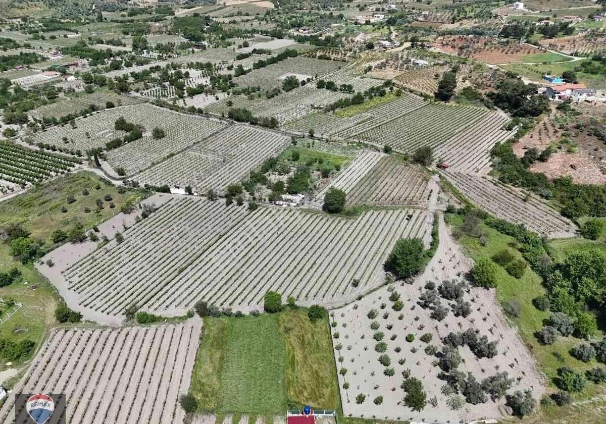 Kuşadası Kirazlı'da Satılık Üzüm Bağı Ana Yola Yakın - Görsel 15