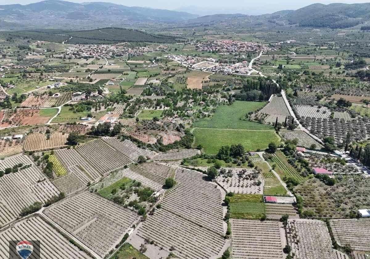 Kuşadası Kirazlı'da Satılık Üzüm Bağı Ana Yola Yakın - Görsel 19