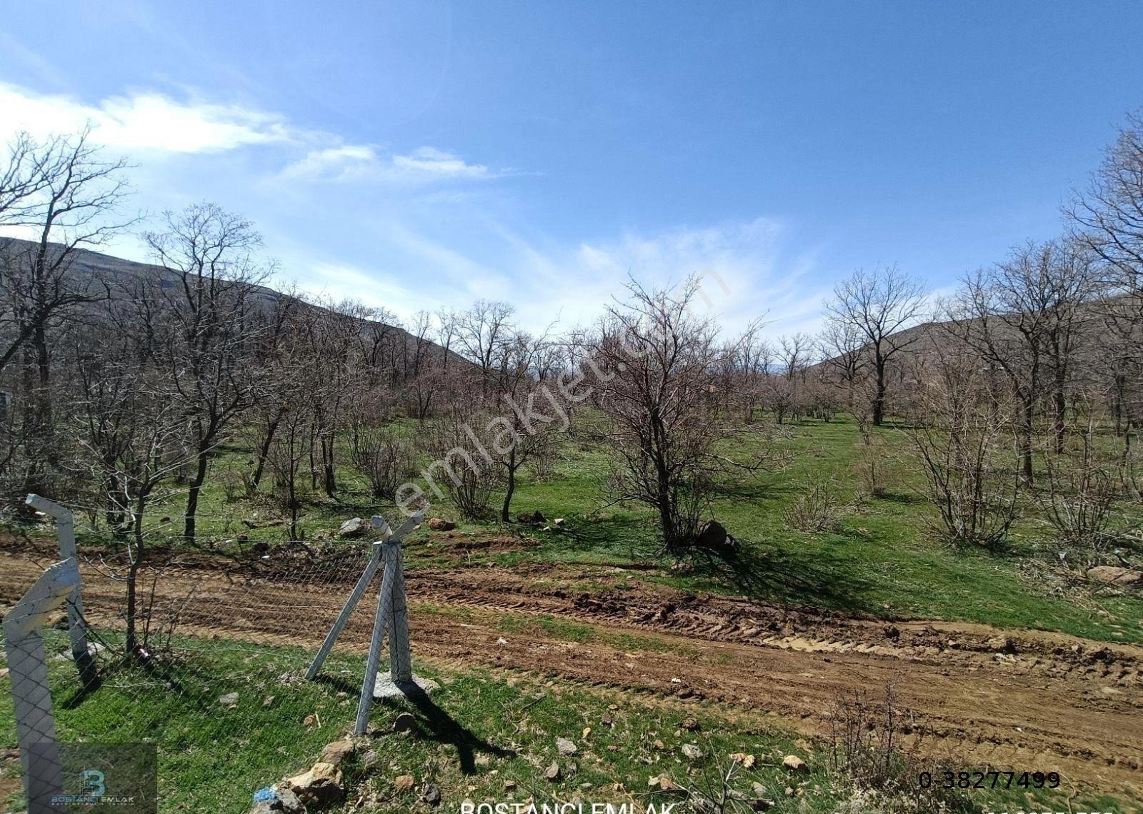 Satılık Bahçe - Görsel 10