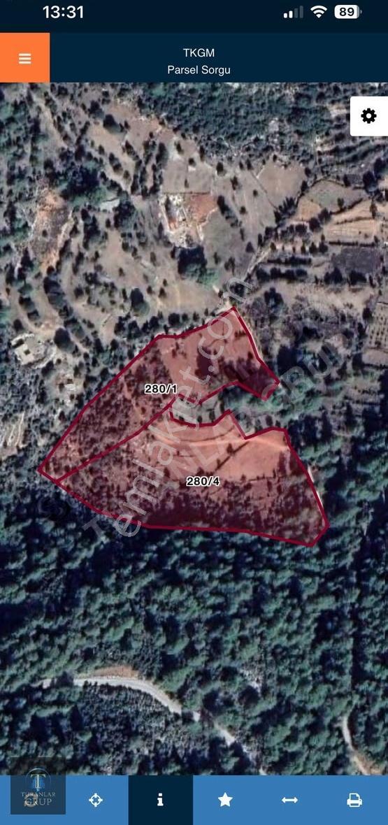 Turanlar Gruptan Sıdyma Antik Kent Manzaralı 34 Dönüm Tarla - Görsel 3