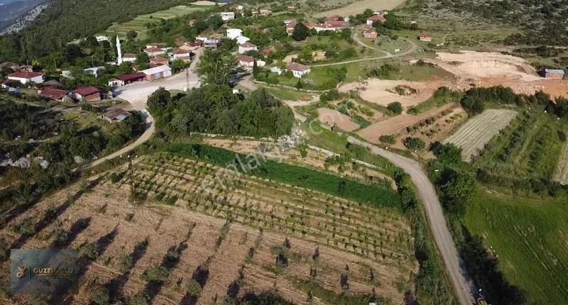 Bilecik Osmaneli Orhaniye'de Üzüm Bağı Elektirik Su Mevcut - Görsel 15