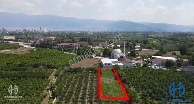 Bölge Uzmanı Has Emlak 1636m2 Resmi Yolu Olan Arazi - Görsel 5
