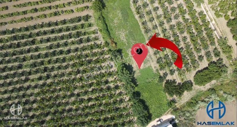 Bölge Uzmanı Has Emlak 1636m2 Resmi Yolu Olan Arazi - Görsel 7