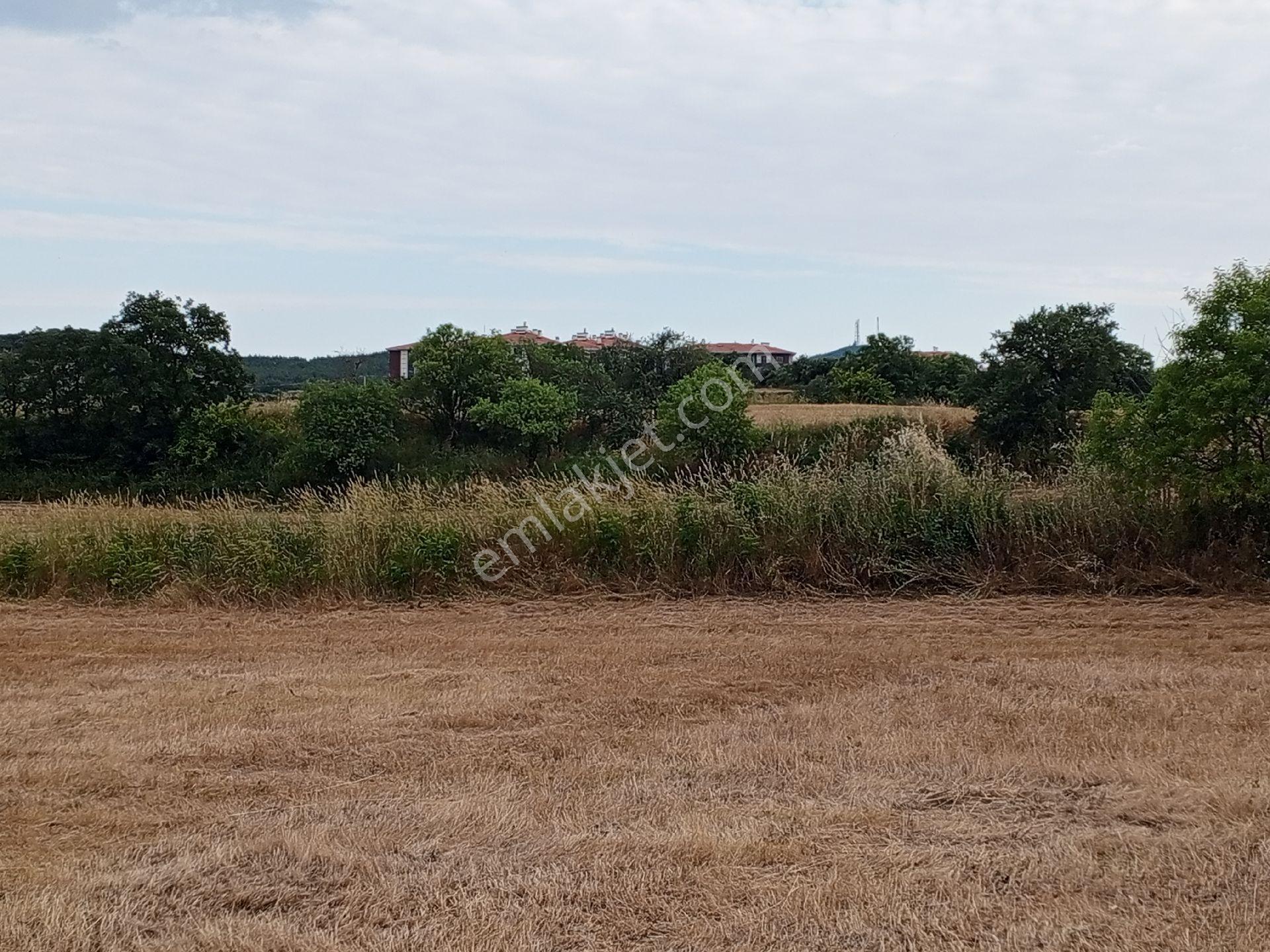 Kesanda İmar Sınıra Bitişik Dört Tarafıda İmarda Bulunan 6603 M2 Arsa - Görsel 2