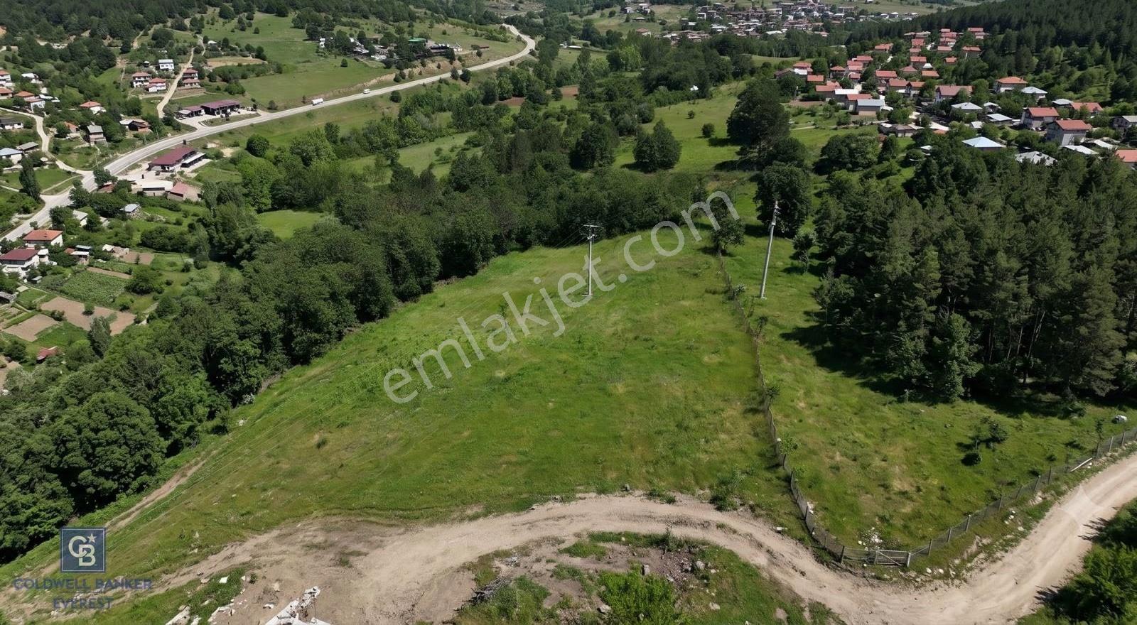 Orhanelide Ulaşımı Kolay 5.414 M² Avantajlı Tarla - Görsel 7