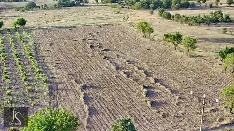 Denizli Bekilli Yeşiloba 125 Ada 185 Par 1.927m2 Bağ Köycivarı - Görsel 5