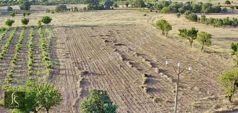 Denizli Bekilli Yeşiloba 125 Ada 185 Par 1.927m2 Bağ Köycivarı - Görsel 4