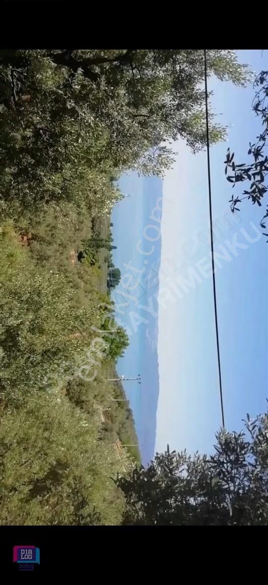 Orhangazi Narlıca'da Göl Manzaralı Yatırıma Uygun Tarla - Görsel 2