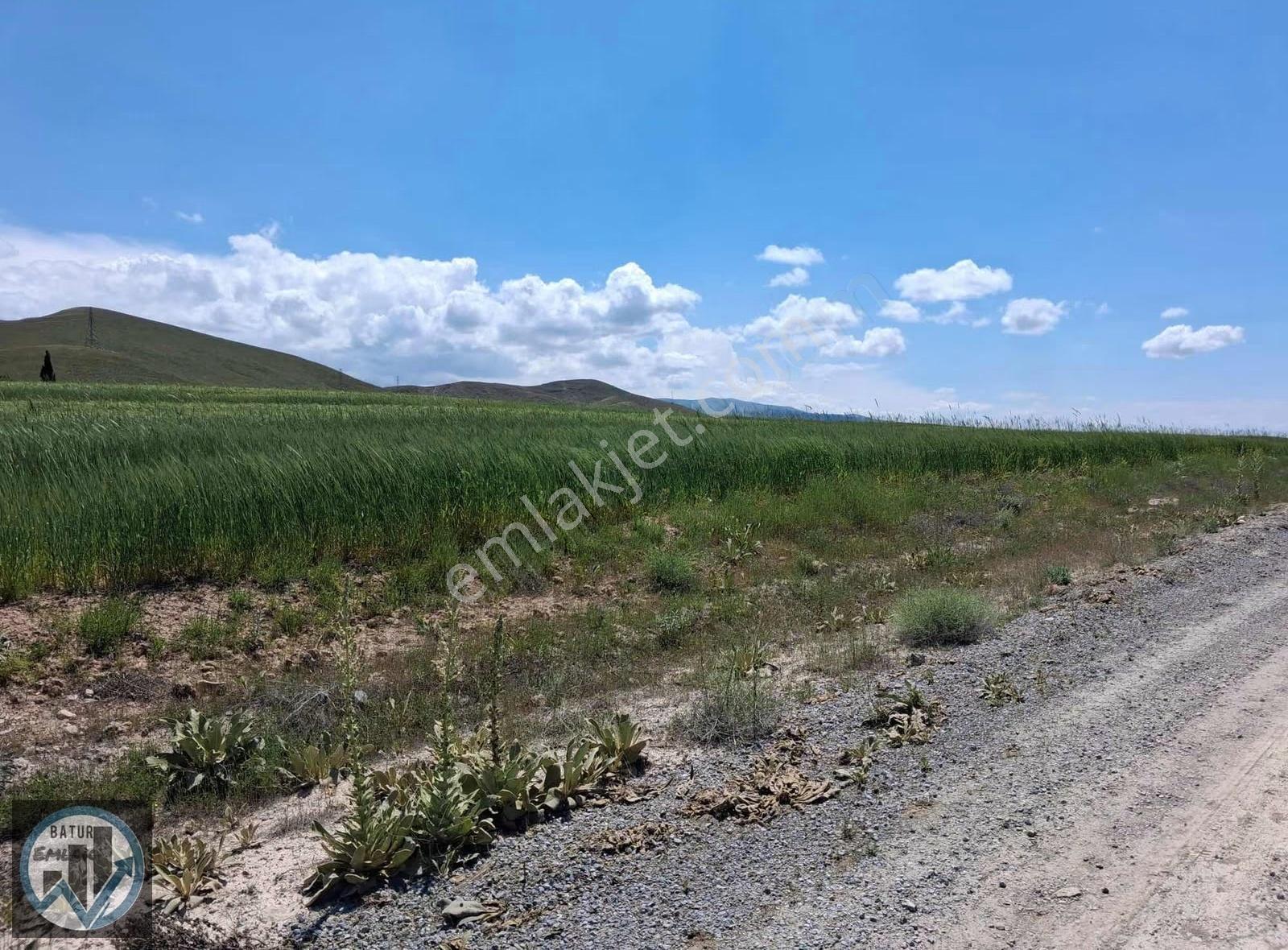 Batur Gayrimenkul'den Karakaş Çiftliğinde Satılık Tarla - Görsel 18