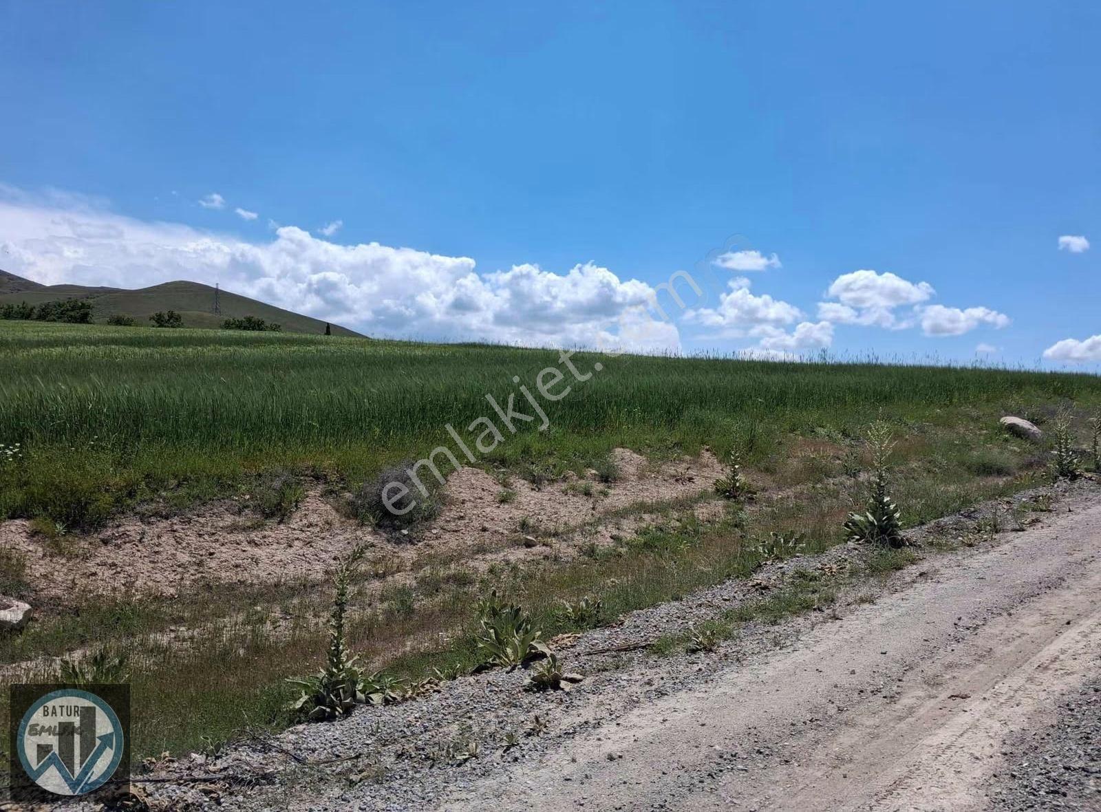 Batur Gayrimenkul'den Karakaş Çiftliğinde Satılık Tarla - Görsel 17