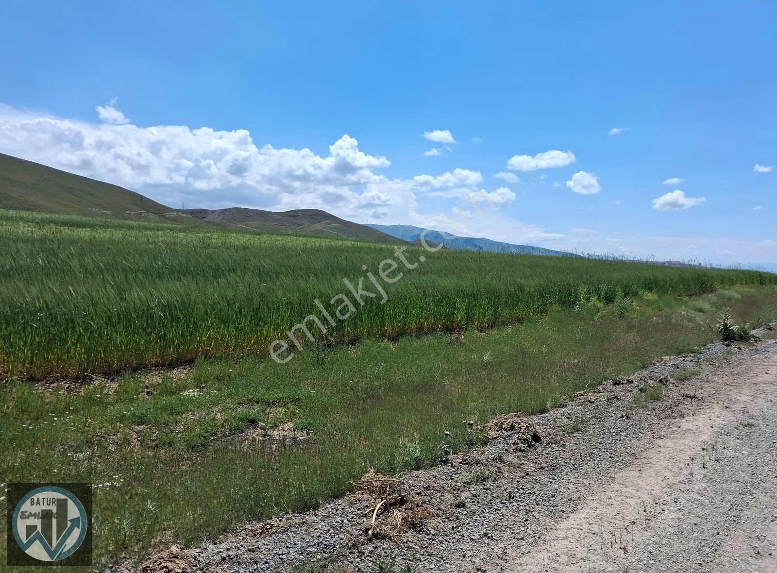 Batur Gayrimenkul'den Karakaş Çiftliğinde Satılık Tarla