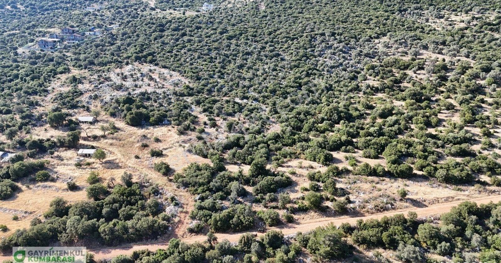 Kaş Sarıbelende Meis Ve Yarımada Manzaralı Arazi 1940 M2 - Görsel 31
