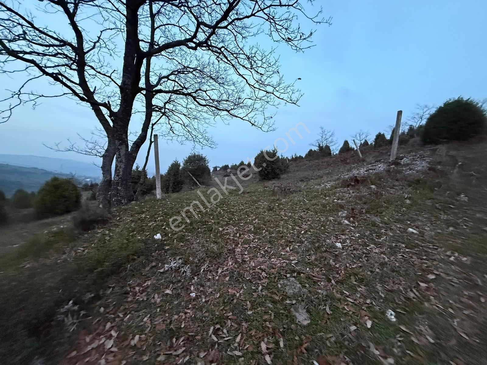 Kocaeli Kandıra Satılık Tarla Çalyer Köyü 678m2 Müstakil Tapulu - Görsel 12