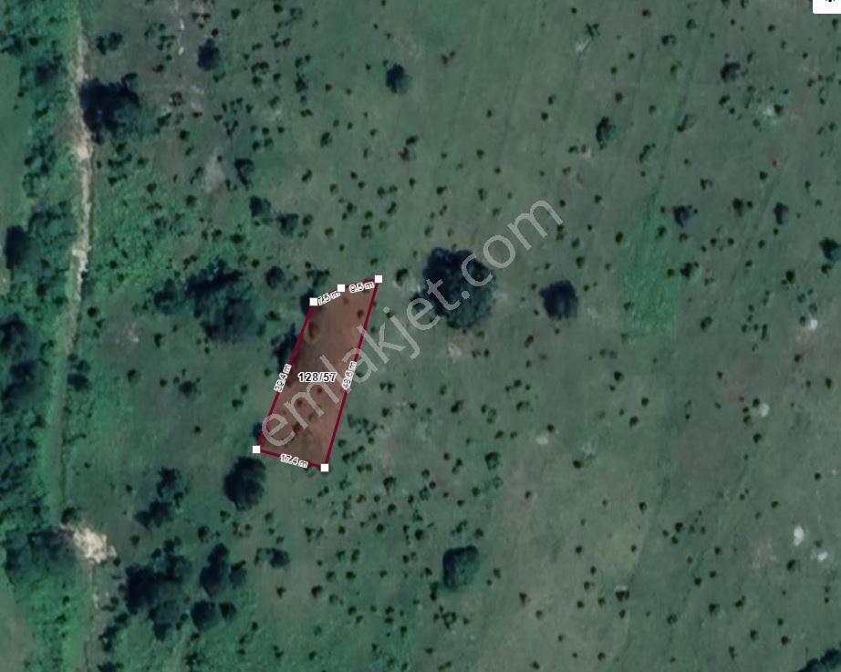 Kocaeli Kandıra Satılık Tarla Çalyer Köyü 678m2 Müstakil Tapulu - Görsel 4