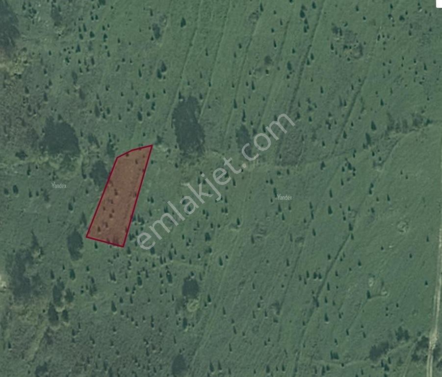 Kocaeli Kandıra Satılık Tarla Çalyer Köyü 678m2 Müstakil Tapulu - Görsel 21