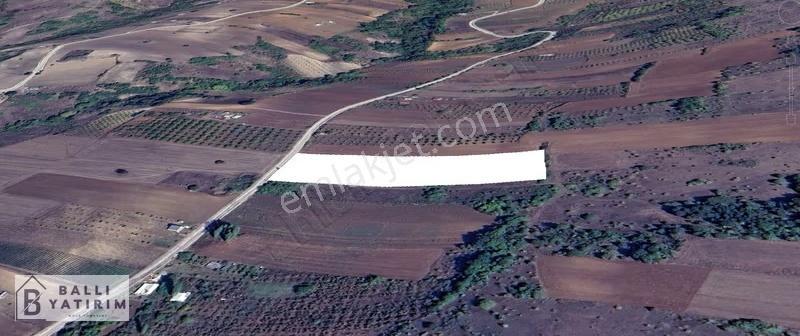 Ballı Yatırım'dan 60 M Yola Cephe Tek Tapu 11.650 M2 Tarla - Görsel 5