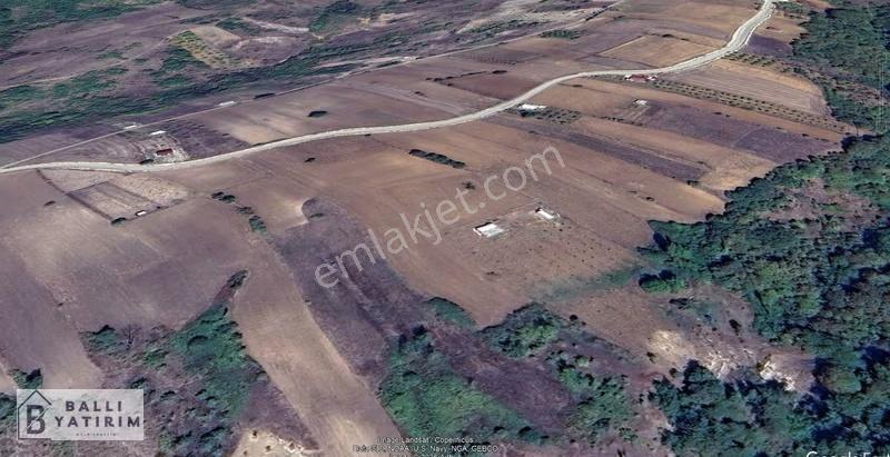Ballı Yatırım'dan Köy Yoluna Cephe Tek Tapu 7400 M2 Tarla - Görsel 4