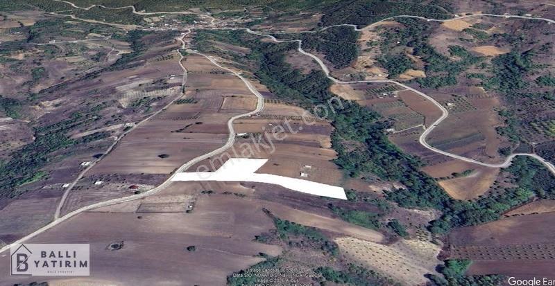 Ballı Yatırım'dan Köy Yoluna Cephe Tek Tapu 7400 M2 Tarla - Görsel 3