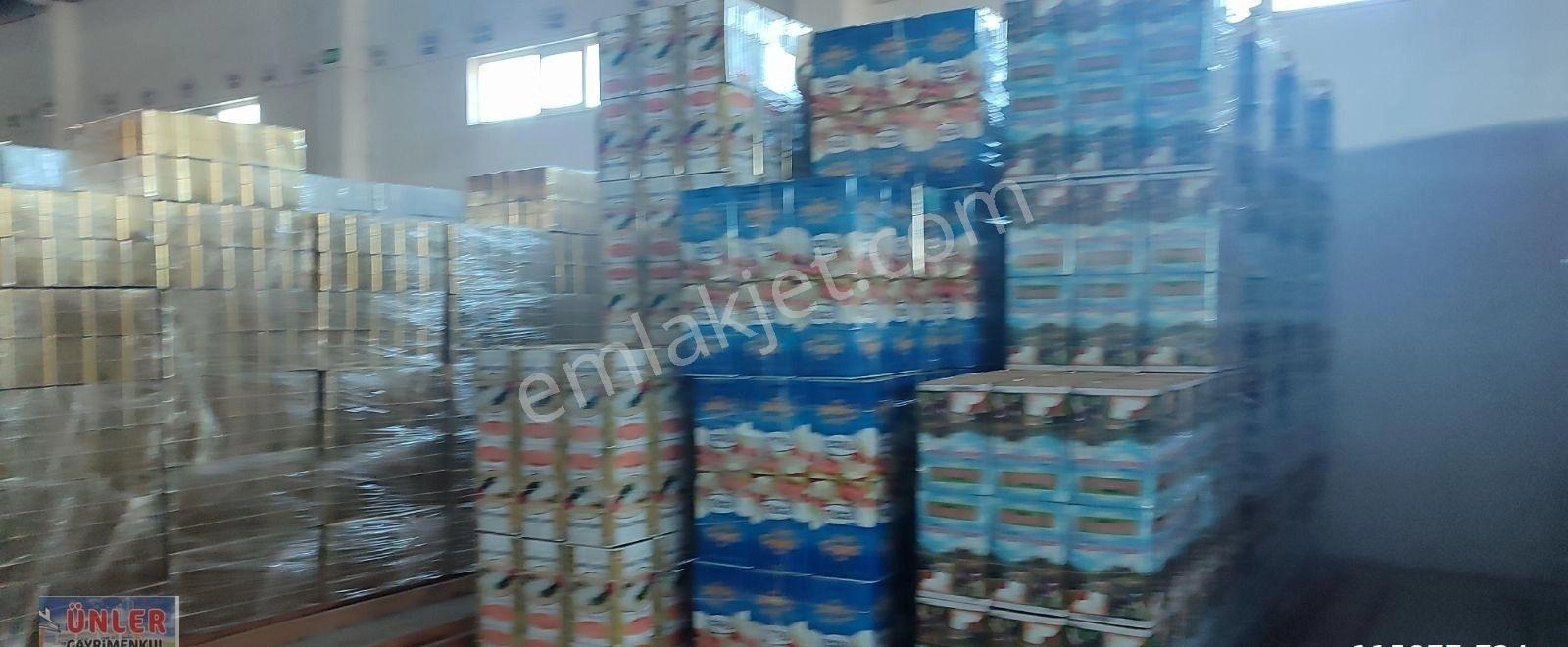 Hazır Kurulu Düzen Teneke Fabrikası 90 Dönüm Arsa - Görsel 15