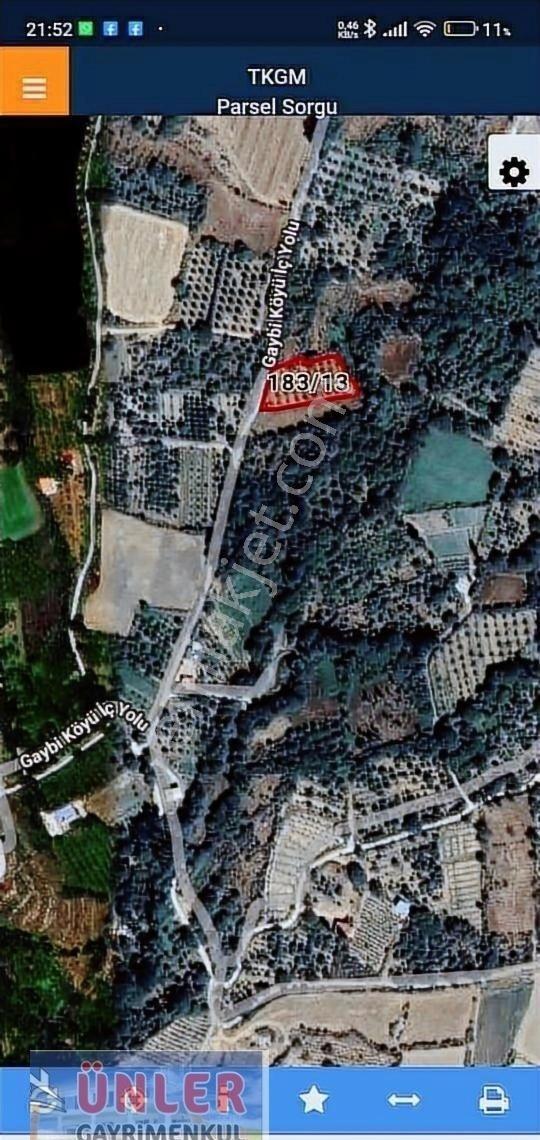 Ereğli Gaybide Suyun Dibinde Muhteşem Bakımlı Meyve Bahçesi - Görsel 5
