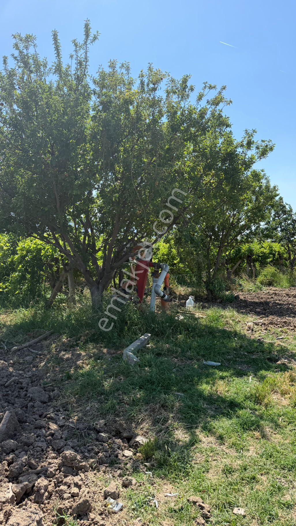 Yeni Harmandalı Mh Satılık 16.500 M2 Fırsat Tarla - Görsel 12