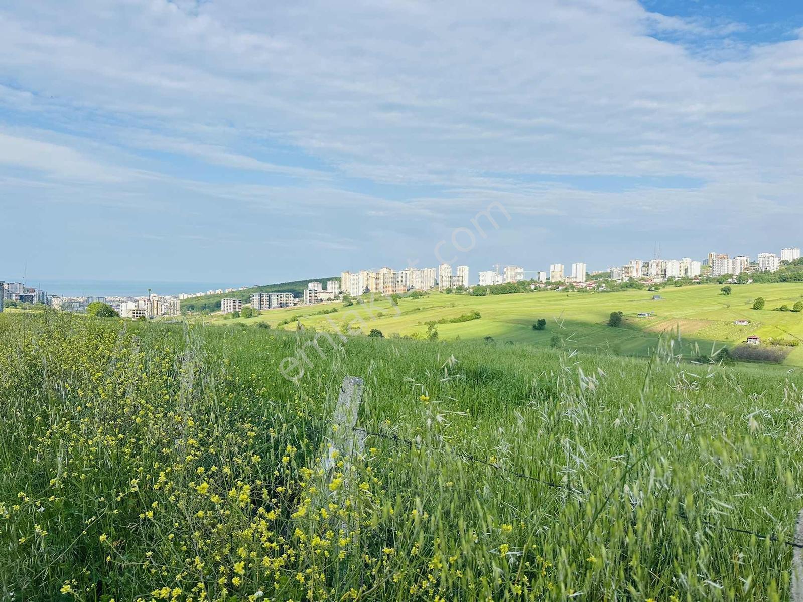 Kamalı'da Konut İmarlı Deniz Manzaraları 62 Metre² Hisse - Görsel 7